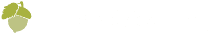 Learning The Block Editor The Right Way